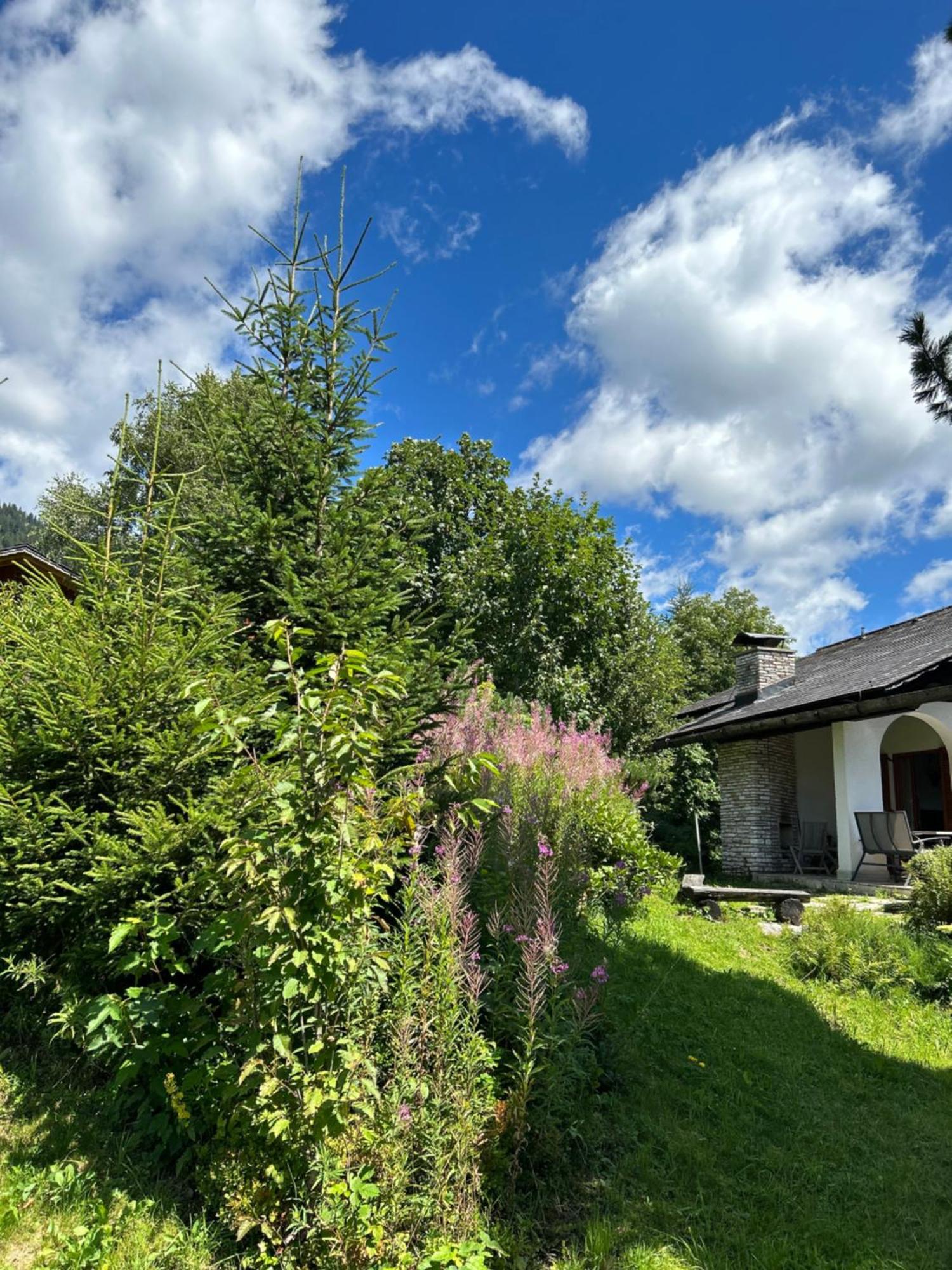 Villa Haus Grimmingblick Zlem Exterior foto